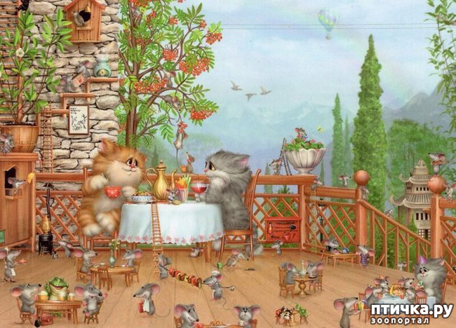 ���� 18: �������� ������� �������. ��� �������� ����� ���