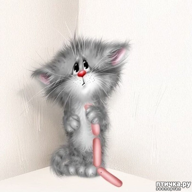 ���� 19: �������� ������� �������. ��� �������� ����� ���