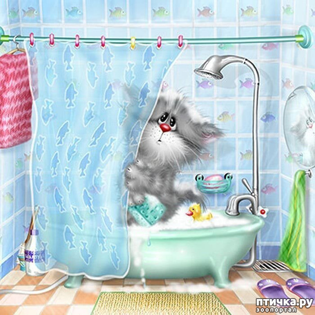 ���� 21: �������� ������� �������. ��� �������� ����� ���