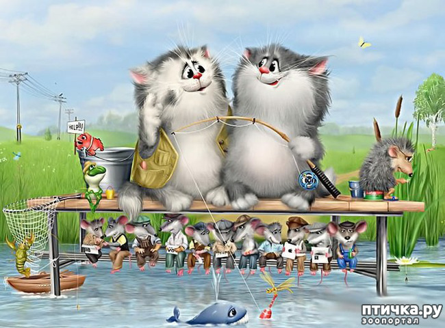 ���� 24: �������� ������� �������. ��� �������� ����� ���