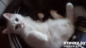 ����: �������� �����