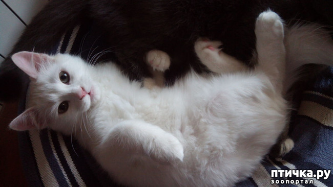 ���� 1: �������� �����