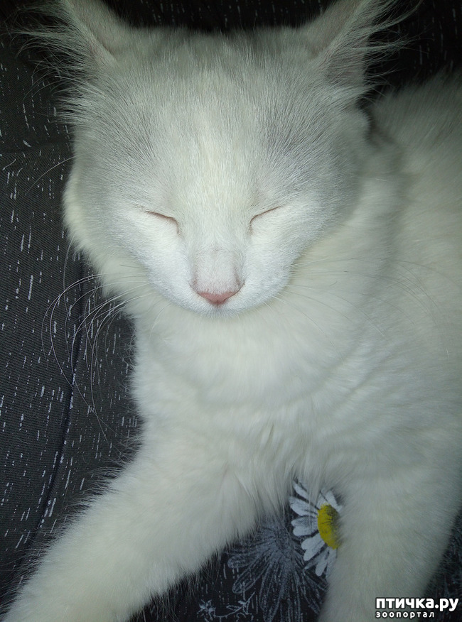 ���� 2: �������� �����