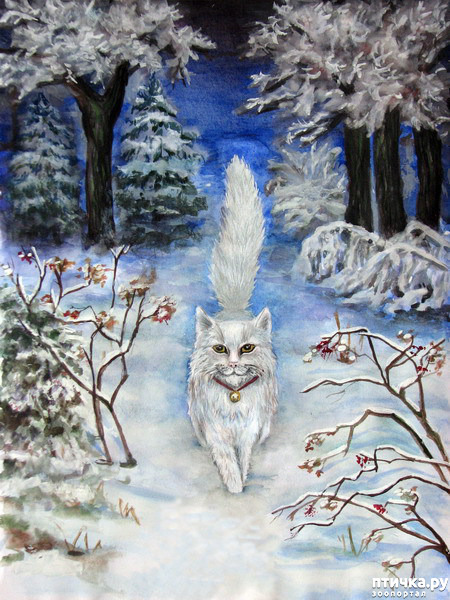 ���� 2: �������� ����, ��������...