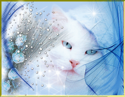 ���� 10: �������� ����, ��������...