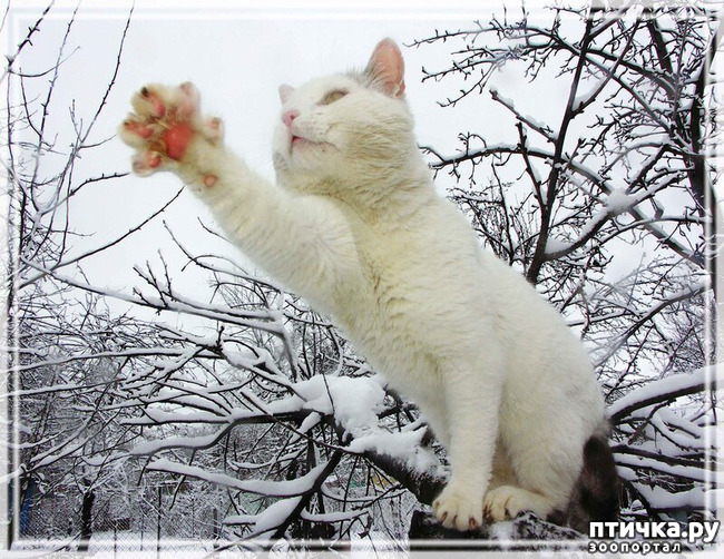 ���� 11: �������� ����, ��������...