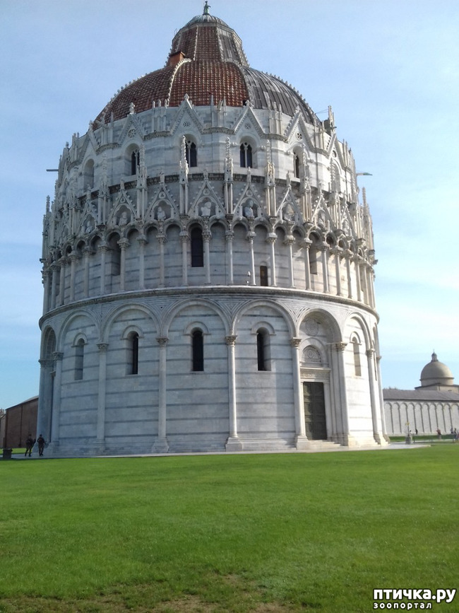 ���� 3: ����. ������� �������.