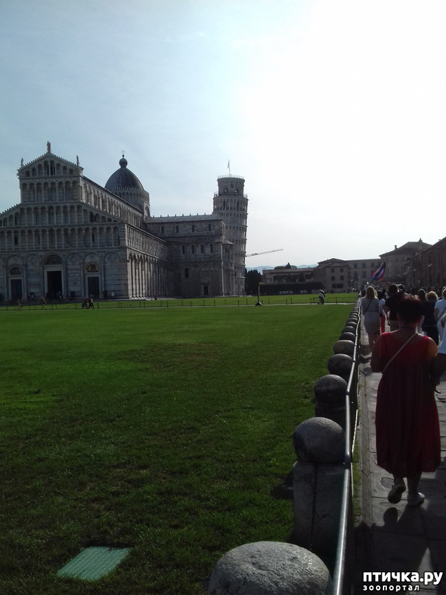 ���� 4: ����. ������� �������.