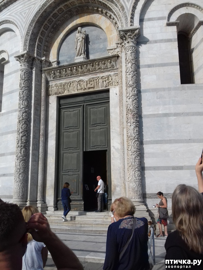 ���� 5: ����. ������� �������.