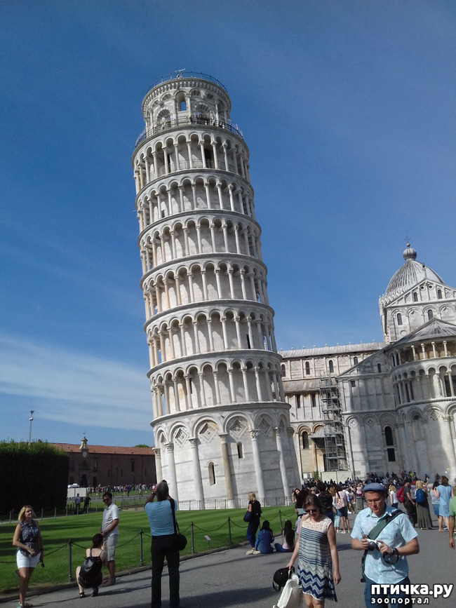 ���� 6: ����. ������� �������.