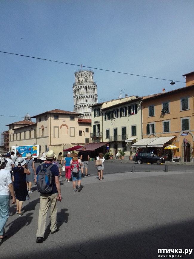 ���� 7: ����. ������� �������.