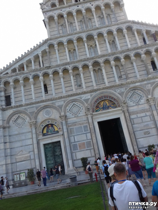 ���� 8: ����. ������� �������.