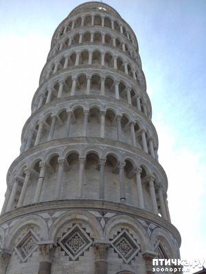 ����: ����. ������� �������.