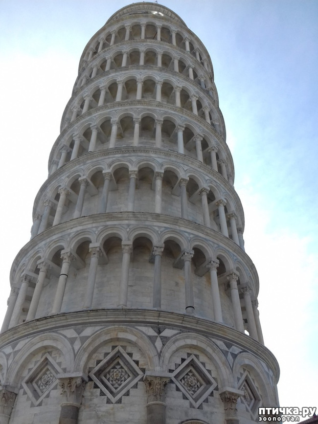 ���� 1: ����. ������� �������.