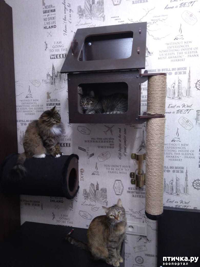 ���� 1: ��������.