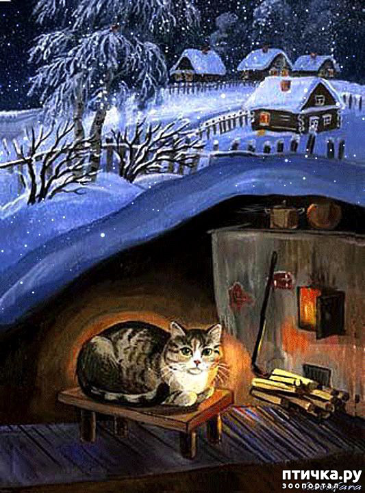 ���� 18: �������� ����, ��������...