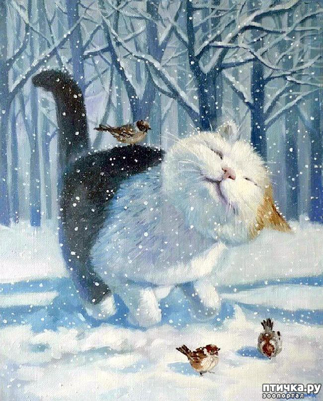 ���� 12: �������� ����, ��������...