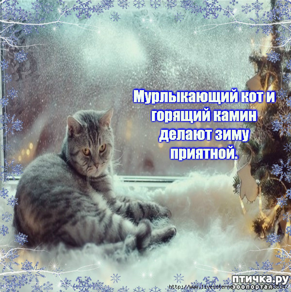 ���� 4: �������� ����, ��������...