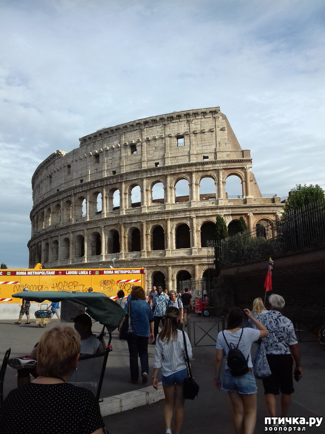 ���� 9: ����. ������� �������.