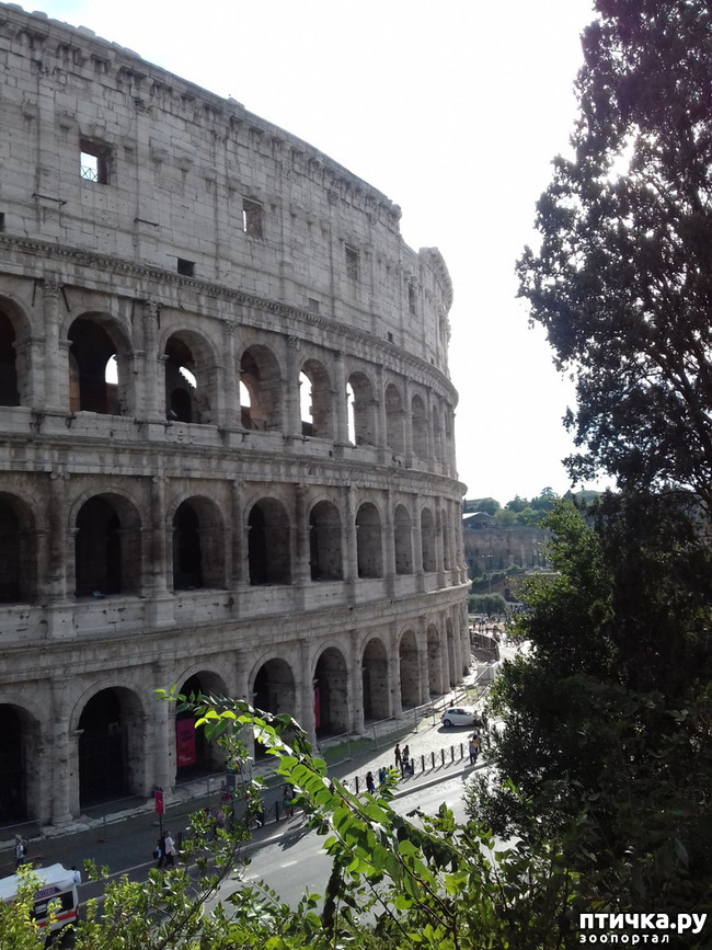 ���� 10: ����. ������� �������.