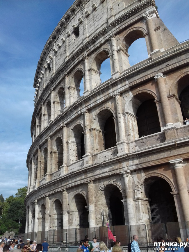 ���� 11: ����. ������� �������.