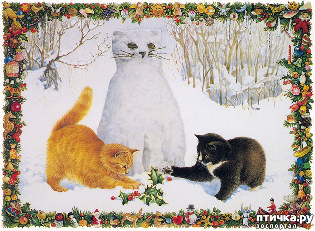 ���� 13: �������� ����, ��������...