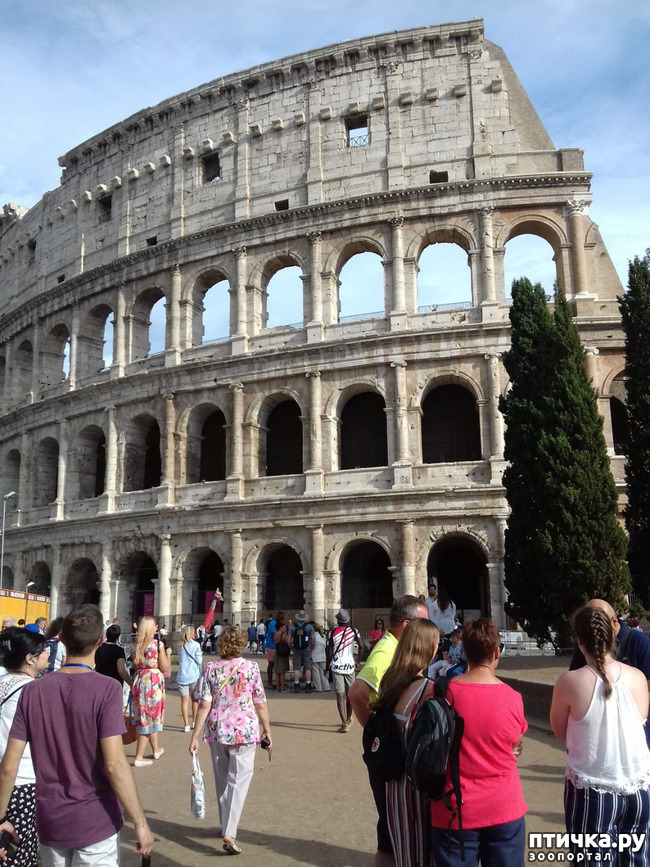 ���� 12: ����. ������� �������.