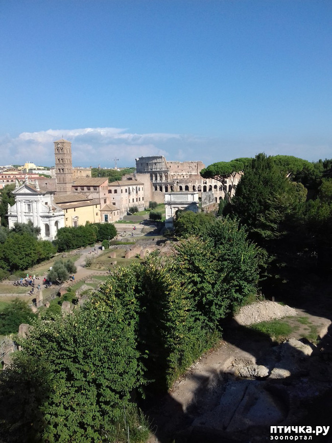 ���� 13: ����. ������� �������.