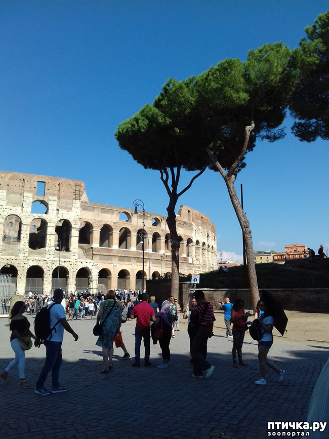 ���� 14: ����. ������� �������.