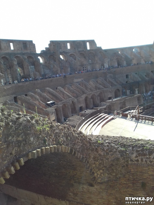 ���� 15: ����. ������� �������.