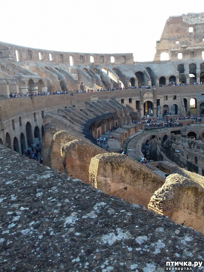 ���� 16: ����. ������� �������.