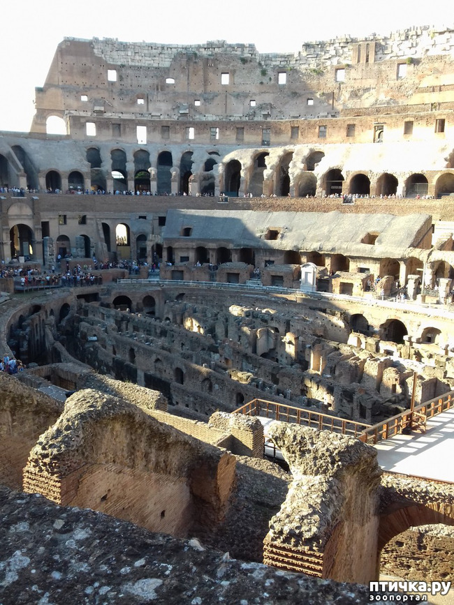 ���� 17: ����. ������� �������.