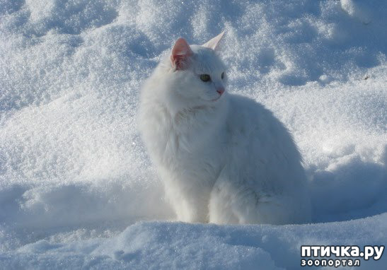 ���� 20: �������� ����, ��������...