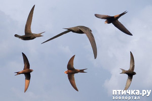 фотография: Любовь к небу фото: Любовь к небу