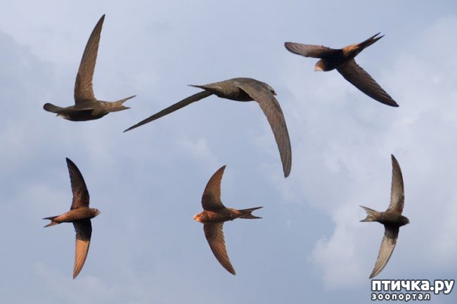 ���� 1: ������ � ����