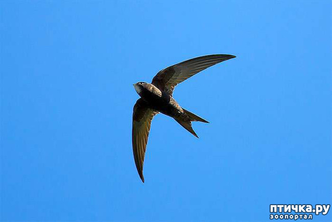 ���� 2: ������ � ����