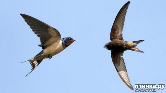 ���� 3: ������ � ����