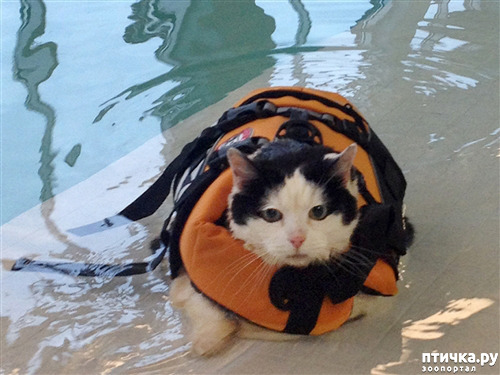 ���� 8: ���� ������� � ������� ������