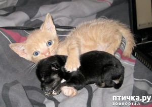 фотография: Пять историй с хорошим концом фото: Пять историй с хорошим концом