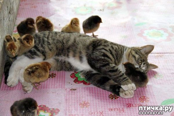 ���� 3: ���� ������� � ������� ������