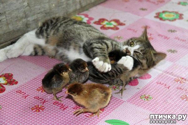 ���� 4: ���� ������� � ������� ������