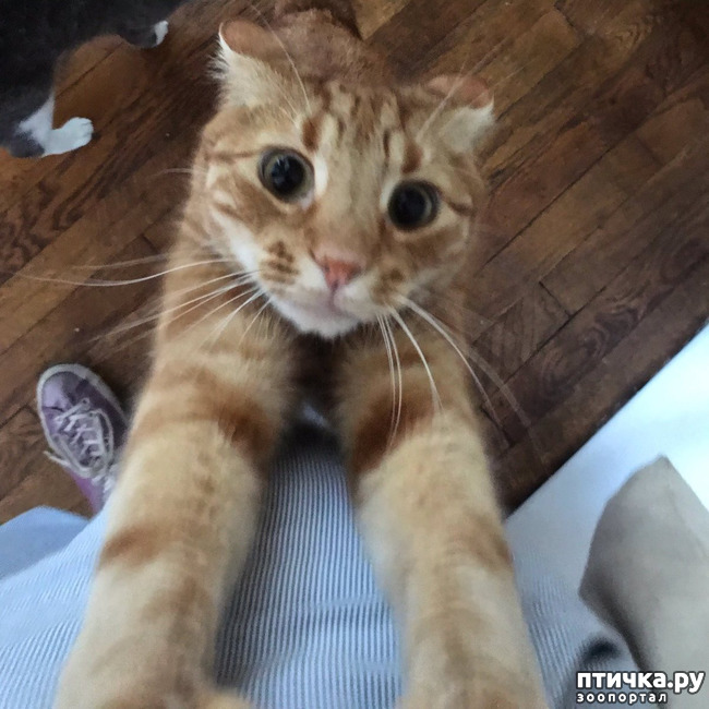 ���� 5: ���� ������� � ������� ������