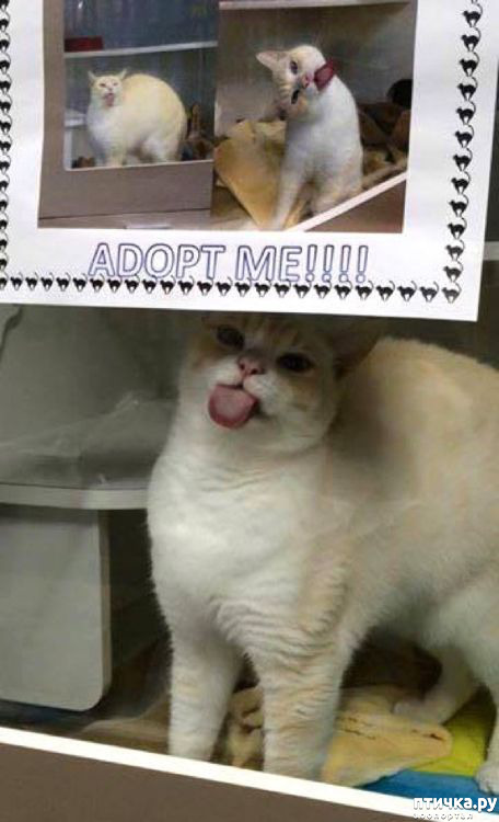 ���� 6: ���� ������� � ������� ������