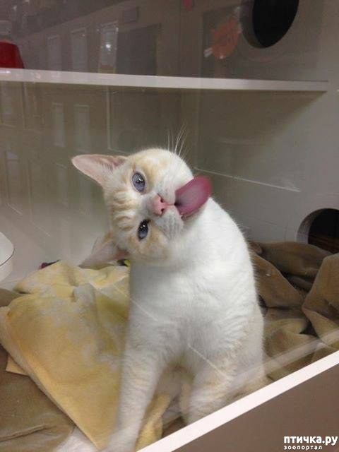 ���� 7: ���� ������� � ������� ������