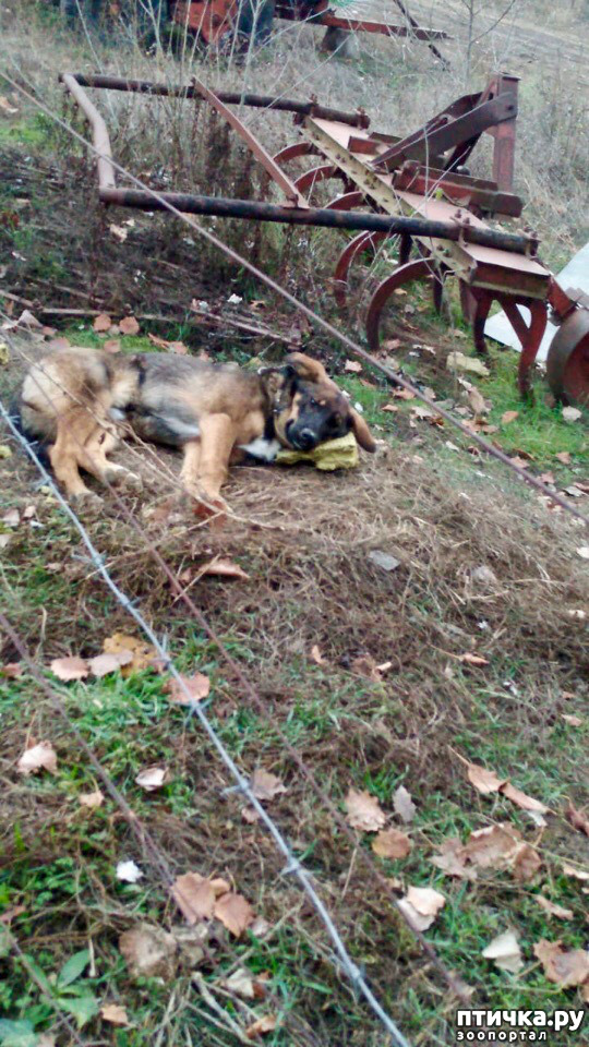 ���� 2: �� �������