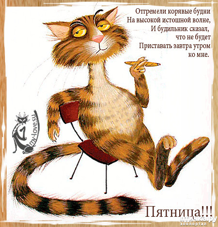 ���� 1: ��������� ���������� (���� � ������� �� ���������):