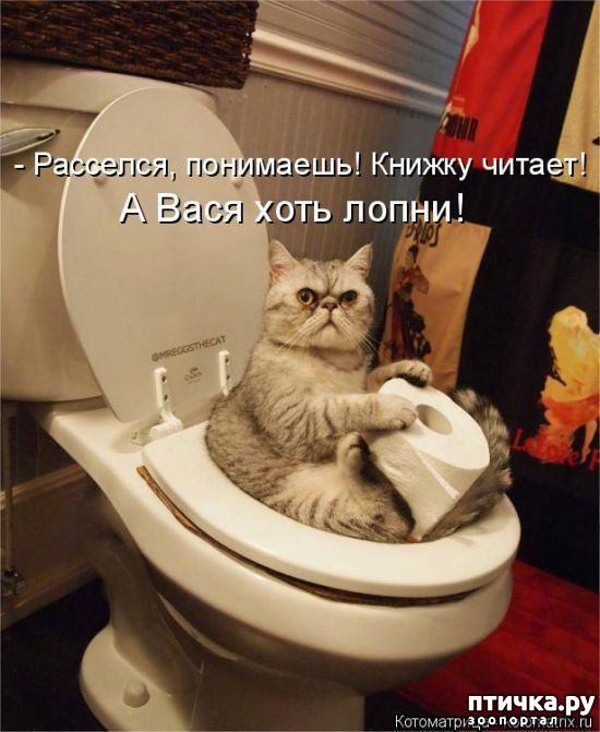 ���� 2: ��������� ���������� (���� � ������� �� ���������):