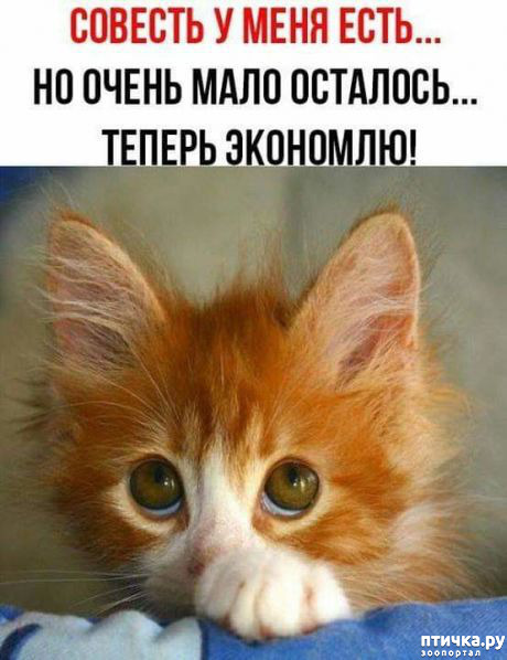 ���� 3: ��������� ���������� (���� � ������� �� ���������):