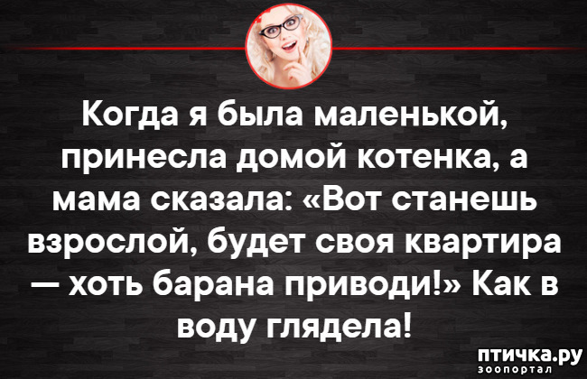 ���� 4: ��������� ���������� (���� � ������� �� ���������):