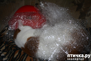 ����: � � ��� ��� � ��������-����������� ������)))